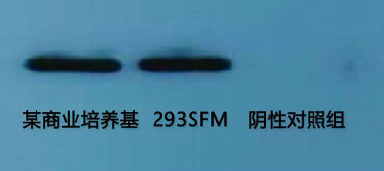d.jpg